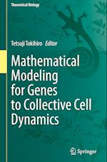 Mathematical Modeling for Genes to Collective Cell Dynamics