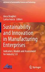 Sustainability and Innovation in Manufacturing Enterprises