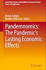 Pandemnomics: The Pandemic's Lasting Economic Effects