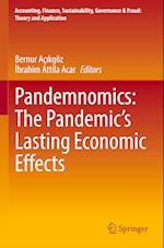 Pandemnomics: The Pandemic's Lasting Economic Effects