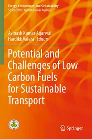 Potential and Challenges of Low Carbon Fuels for Sustainable Transport