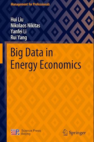 Big Data in Energy Economics