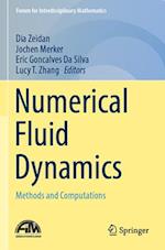 Numerical Fluid Dynamics