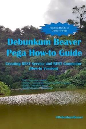 Debunkum Beaver Pega How-to Guide