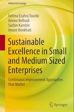Sustainable Excellence in Small and Medium Sized Enterprises