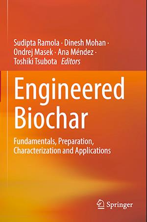 Engineered Biochar