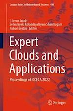 Expert Clouds and Applications