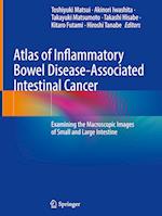 Atlas of Inflammatory Bowel Disease-Associated Intestinal Cancer