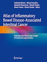 Atlas of Inflammatory Bowel Disease-Associated Intestinal Cancer