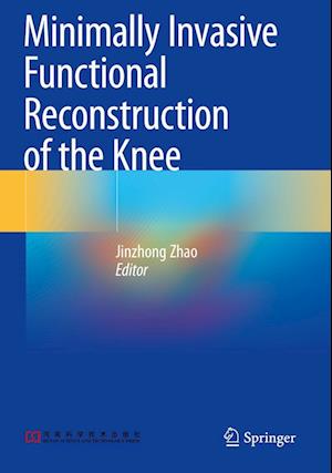 Minimally Invasive Functional Reconstruction of the Knee