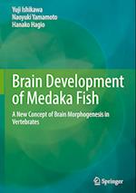 Brain Development of Medaka Fish