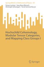 Hochschild Cohomology, Modular Tensor Categories, and Mapping Class Groups I