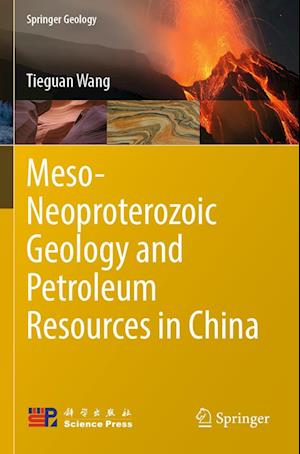 Meso-Neoproterozoic Geology and Petroleum Resources in China