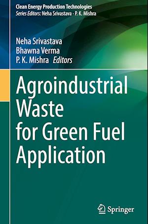 Agroindustrial waste for green fuel application