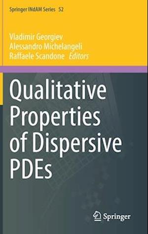 Qualitative Properties of Dispersive PDEs