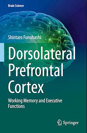 Dorsolateral Prefrontal Cortex