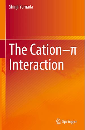 The Cation–p Interaction