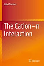 The Cation–p Interaction