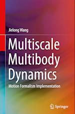 Multiscale Multibody Dynamics