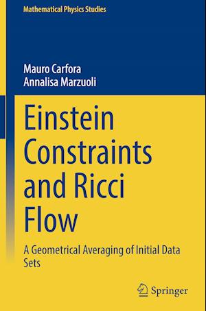 Einstein Constraints and Ricci Flow