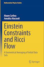 Einstein Constraints and Ricci Flow