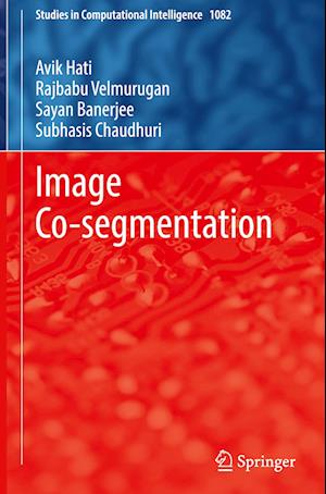 Image Co-segmentation