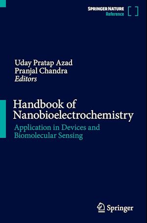 Handbook of Nanobioelectrochemistry