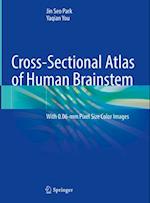 Cross-Sectional Atlas of Human Brainstem