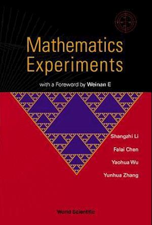 Mathematics Experiments