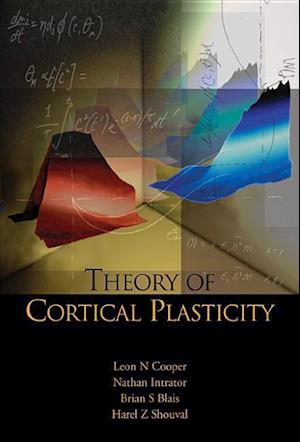 Theory Of Cortical Plasticity