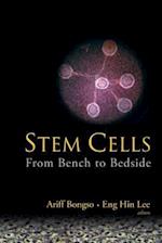 Stem Cells: From Bench To Bedside