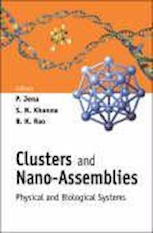 Clusters And Nano-assemblies: Physical And Biological Systems