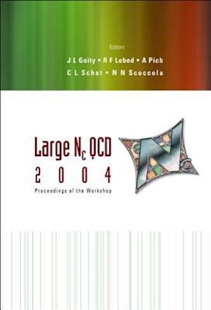 Large Nc Qcd 2004 - Proceedings Of The Workshop