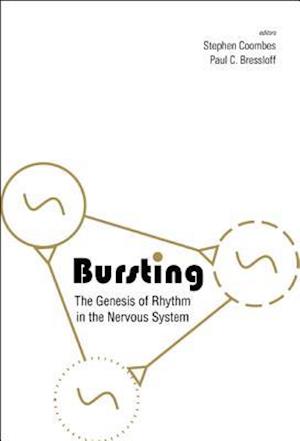 Bursting: The Genesis Of Rhythm In The Nervous System