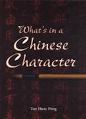 What's in a Chinese Character