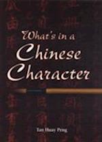 What's in a Chinese Character