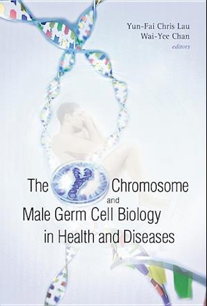 Y Chromosome And Male Germ Cell Biology In Health And Diseases, The
