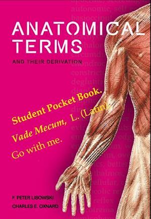 Anatomical Terms And Their Derivation