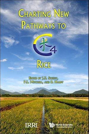 Charting New Pathways To C4 Rice