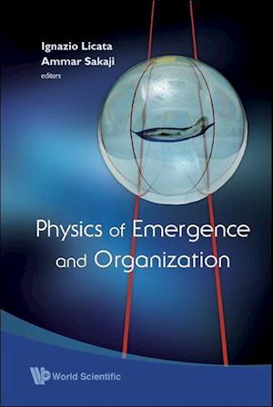 Physics Of Emergence And Organization