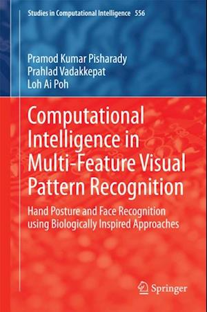 Computational Intelligence in Multi-Feature Visual Pattern Recognition