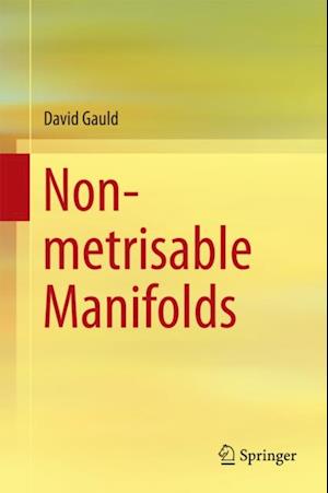 Non-metrisable Manifolds