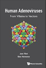 Human Adenoviruses: From Villains To Vectors