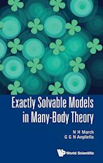 Exactly Solvable Models In Many-body Theory