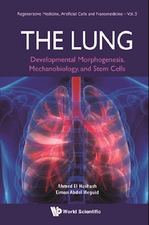 Lung, The: Developmental Morphogenesis, Mechanobiology, And Stem Cells