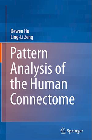 Pattern Analysis of the Human Connectome