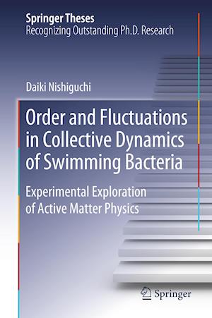 Order and Fluctuations in Collective Dynamics of Swimming Bacteria