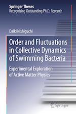 Order and Fluctuations in Collective Dynamics of Swimming Bacteria