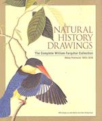 Natural History Drawings