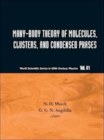 Many-body Theory Of Molecules, Clusters And Condensed Phases